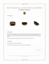 7.03 Ct. Chrysoberyl from Ceylon (Sri Lanka) Appraisal
