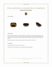 7.03 Ct. Brown Chrysoberyl from Ceylon (Sri Lanka) Appraisal