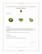 Jewelry Appraisal