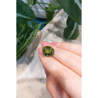 10.65 Ct. Beryl from Brazil Life Style
