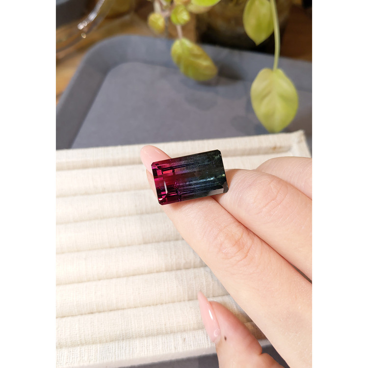 30.00 Ct. Bi Color Tourmaline from Mozambique