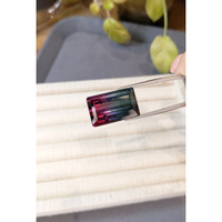 30.00 Ct. Bi Color Tourmaline from Mozambique Life Style