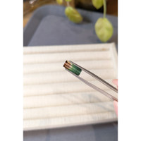 2.82 Ct. Watermelon Tourmaline from Mozambique Life Style