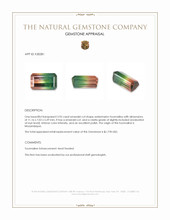 3.95 Ct. Watermelon Tourmaline from Mozambique Appraisal