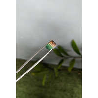 3.95 Ct. Watermelon Tourmaline from Mozambique Life Style