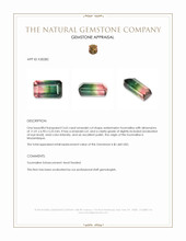 3.65 Ct. Watermelon Tourmaline from Mozambique Appraisal