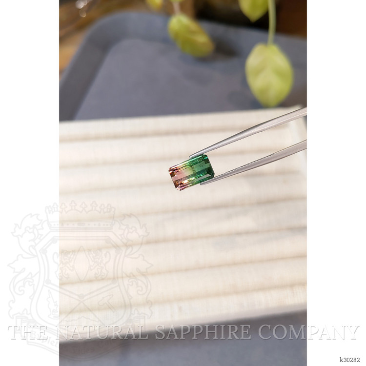 3.65 Ct. Watermelon Tourmaline from Mozambique