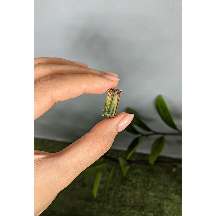 10.79 Ct. Watermelon Tourmaline from Mozambique
