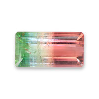 49.43 Ct. Watermelon Tourmaline from Mozambique Video