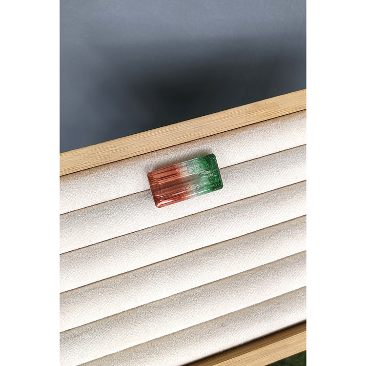 49.43 Ct. Watermelon Tourmaline from Mozambique
