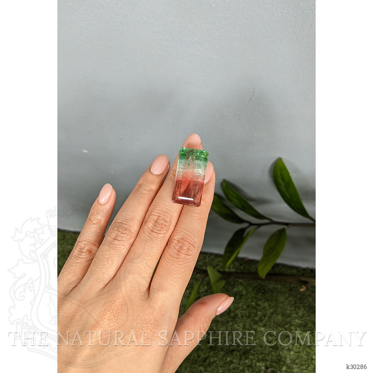 49.43 Ct. Watermelon Tourmaline from Mozambique