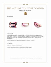 1.56 Ct. Bi Color Tourmaline from Mozambique Appraisal