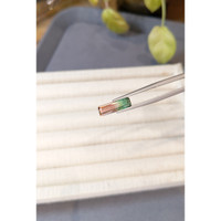 2.09 Ct. Watermelon Tourmaline from Mozambique Life Style