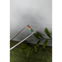 1.49 Ct. Watermelon Tourmaline from Mozambique Life Style