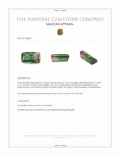 5.13 Ct. Bi Color Tourmaline from Mozambique Appraisal