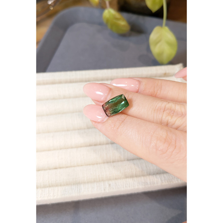 5.13 Ct. Bi Color Tourmaline from Mozambique
