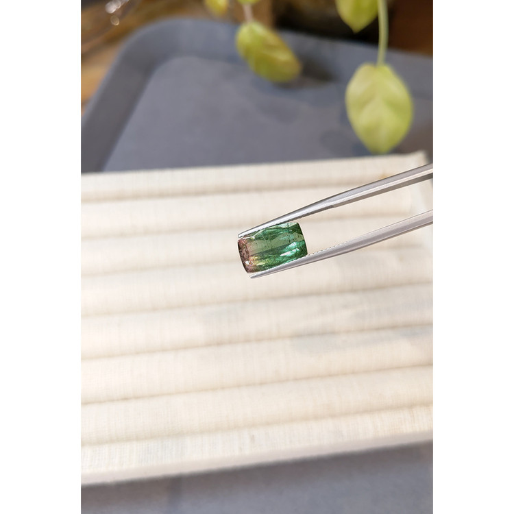5.13 Ct. Bi Color Tourmaline from Mozambique