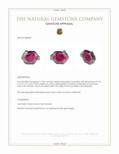 17.38 Ct. Watermelon Tourmaline from Mozambique Appraisal