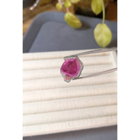 17.38 Ct. Watermelon Tourmaline from Mozambique Life Style