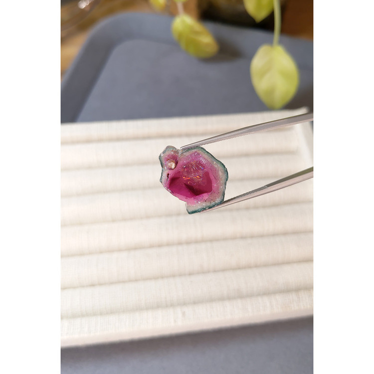 17.38 Ct. Watermelon Tourmaline from Mozambique