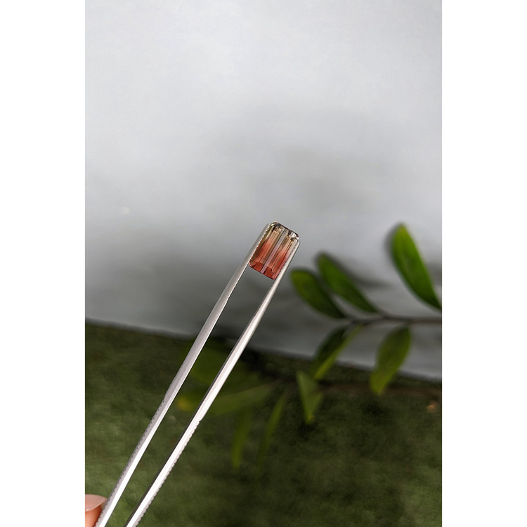 4.35 Ct. Bi Color Tourmaline from Mozambique