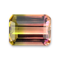 1.05 Ct. Bi Color Tourmaline from Mozambique Video