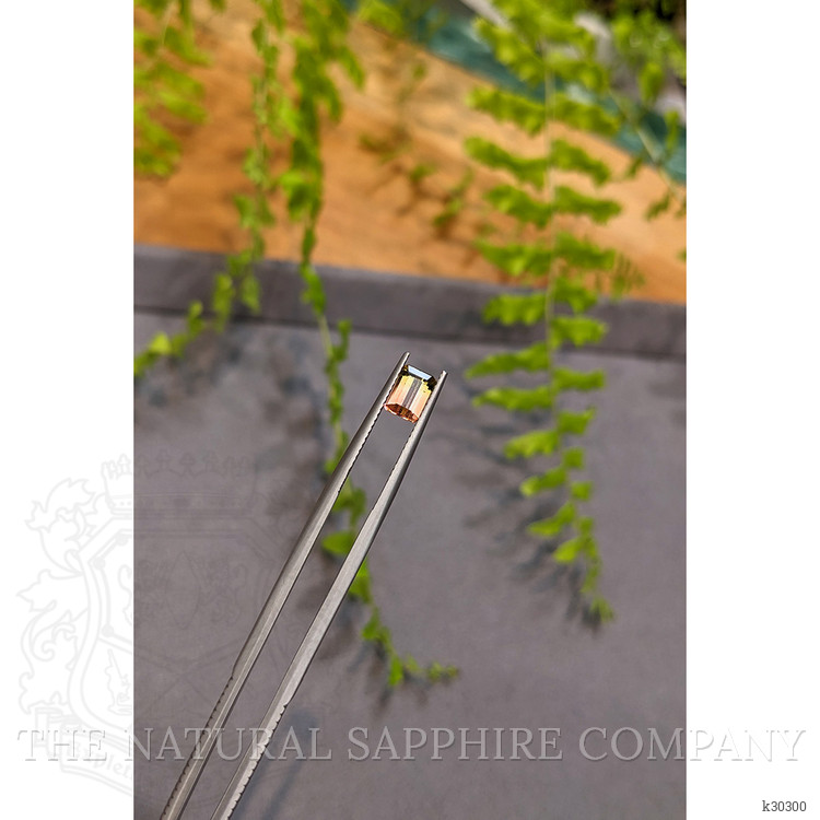 1.05 Ct. Bi Color Tourmaline from Mozambique
