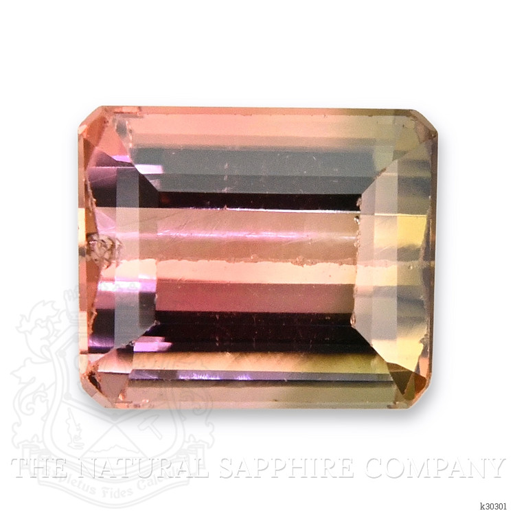 0.98 Ct. Bi Color Tourmaline from Mozambique