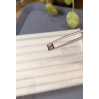 0.98 Ct. Bi Color Tourmaline from Mozambique Life Style