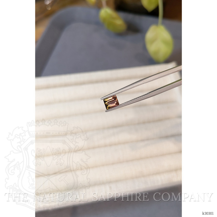 0.98 Ct. Bi Color Tourmaline from Mozambique