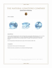 4.07 Ct. Blue Aquamarine from Ceylon (Sri Lanka) Appraisal