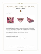 1.07 Ct. Bi Color Tourmaline from Mozambique Appraisal