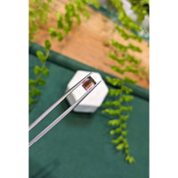 1.28 Ct. Bi Color Tourmaline from Mozambique Life Style