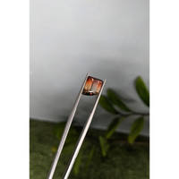 5.17 Ct. Bi Color Tourmaline from Mozambique Life Style