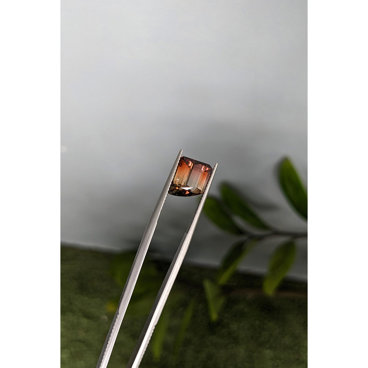 5.17 Ct. Bi Color Tourmaline from Mozambique