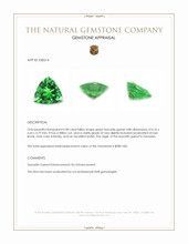 0.98 Ct. Tsavorite Garnet from Tanzania Appraisal