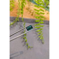 3.72 Ct. Bluish Green Tourmaline from Mozambique Life Style