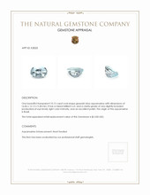 10.12 Ct. Aquamarine from Brazil Appraisal