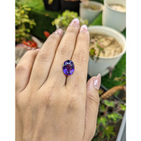 5.66 Ct. Purple Amethyst from Brazil Life Style