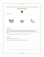 12.67 Ct. Blue Aquamarine from Brazil Appraisal