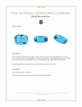 29.64 Ct. Swiss Blue Topaz from Brazil Appraisal