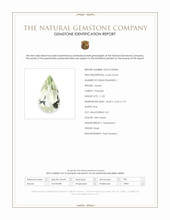 11.05 Ct. Mint Green Prasiolite from Brazil Scan Report