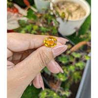 5.58 Ct. Yellow Citrine from Brazil Life Style