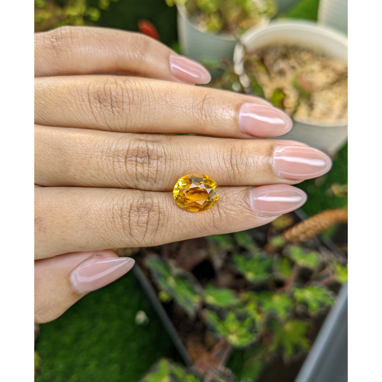5.58 Ct. Yellow Citrine from Brazil