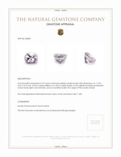 6.39 Ct. Kunzite from Brazil Appraisal