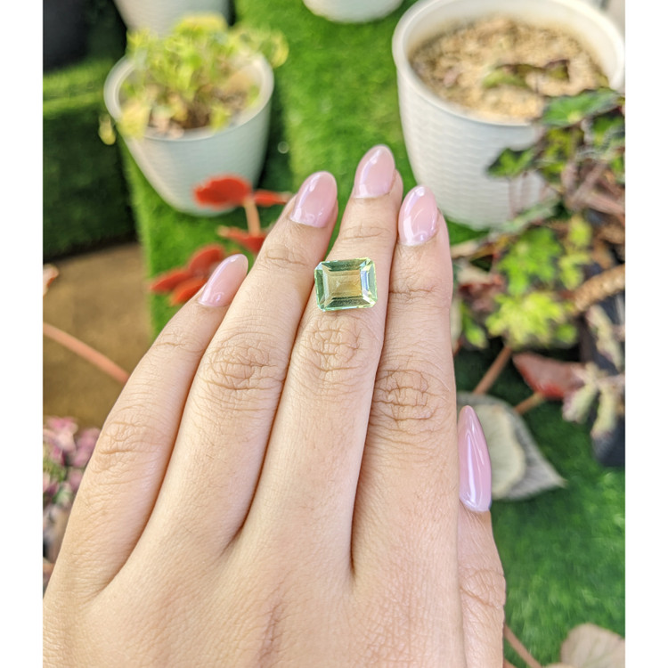 5.51 Ct. Yellowish Green Prasiolite from Brazil