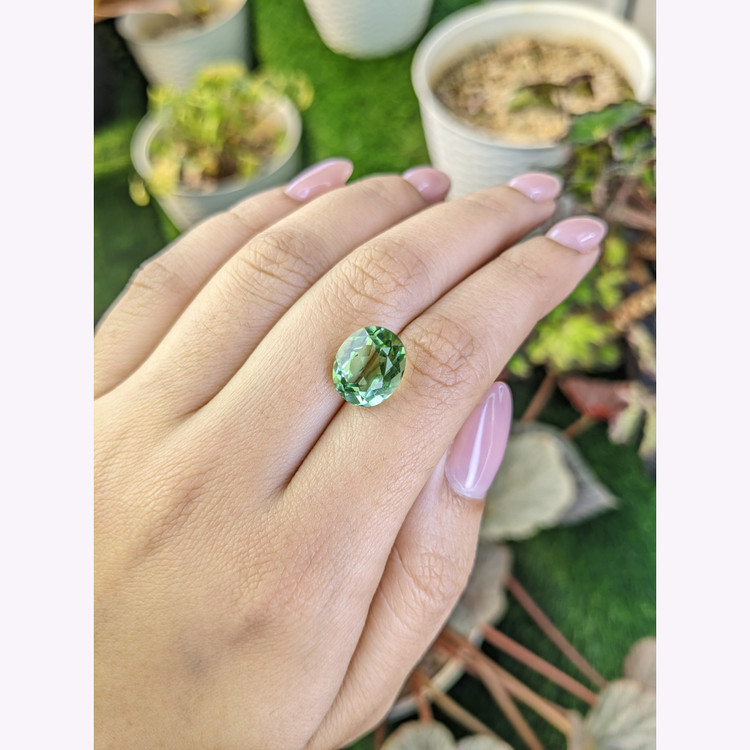 5.65 Ct. Green Prasiolite from Brazil