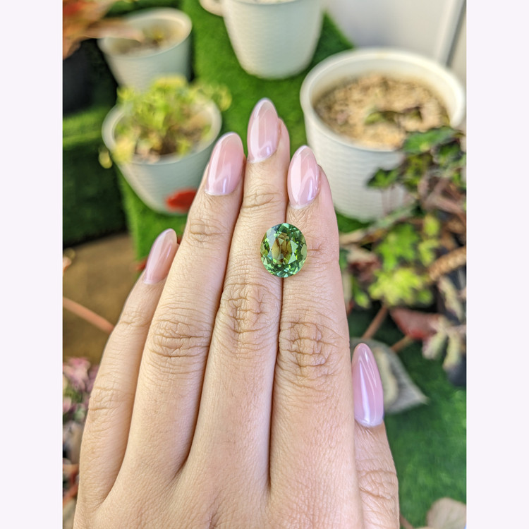 5.66 Ct. Green Prasiolite from Brazil