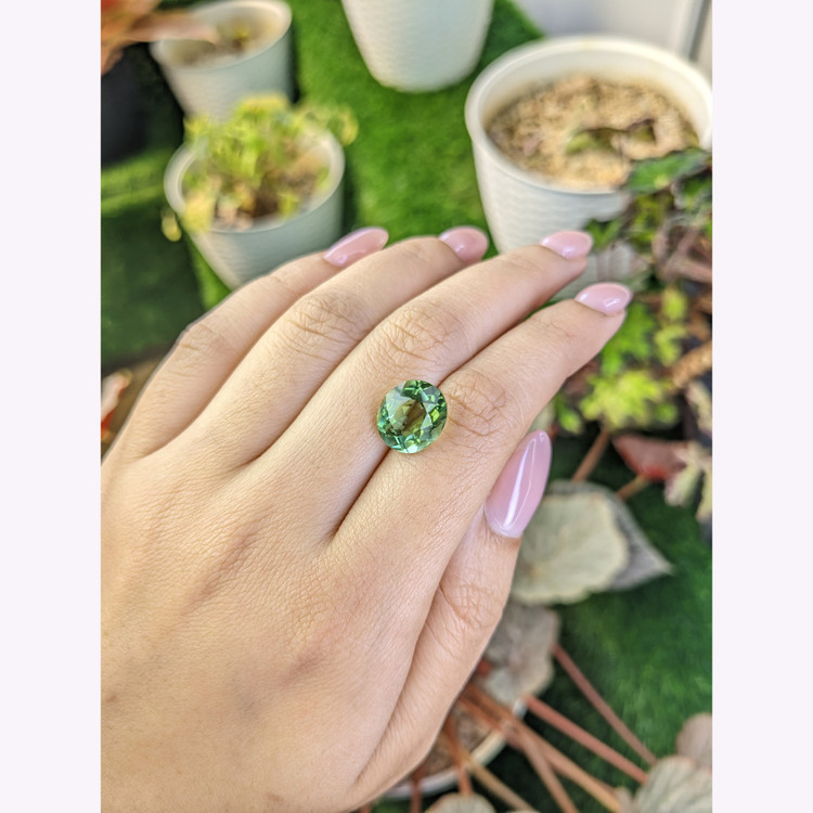 5.66 Ct. Green Prasiolite from Brazil