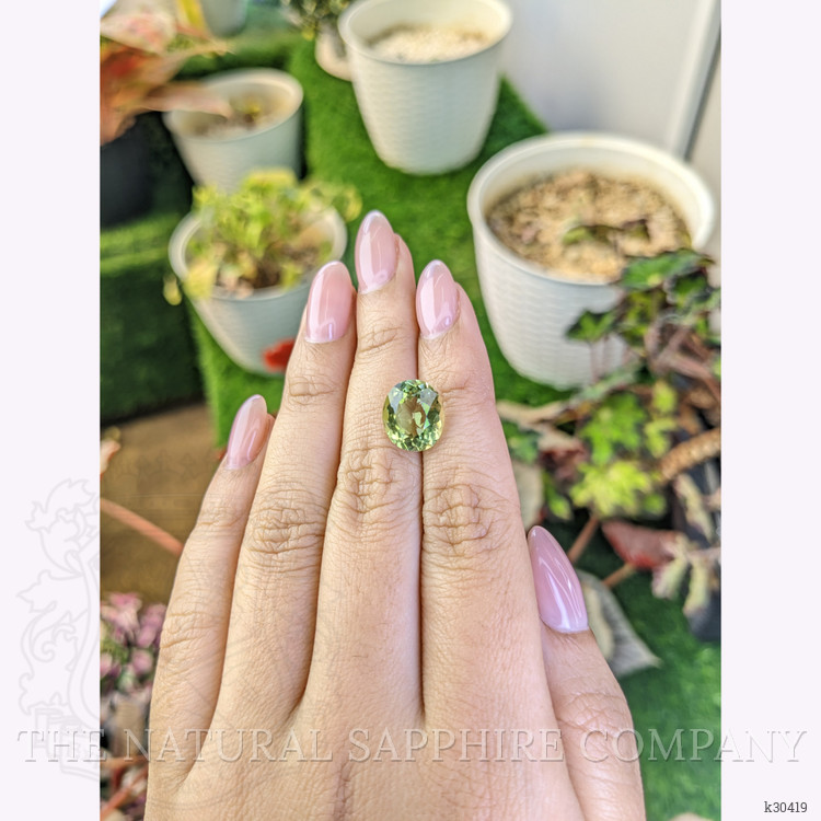 5.35 Ct. Yellowish Green Prasiolite from Brazil
